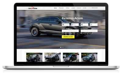 C&I Automobile